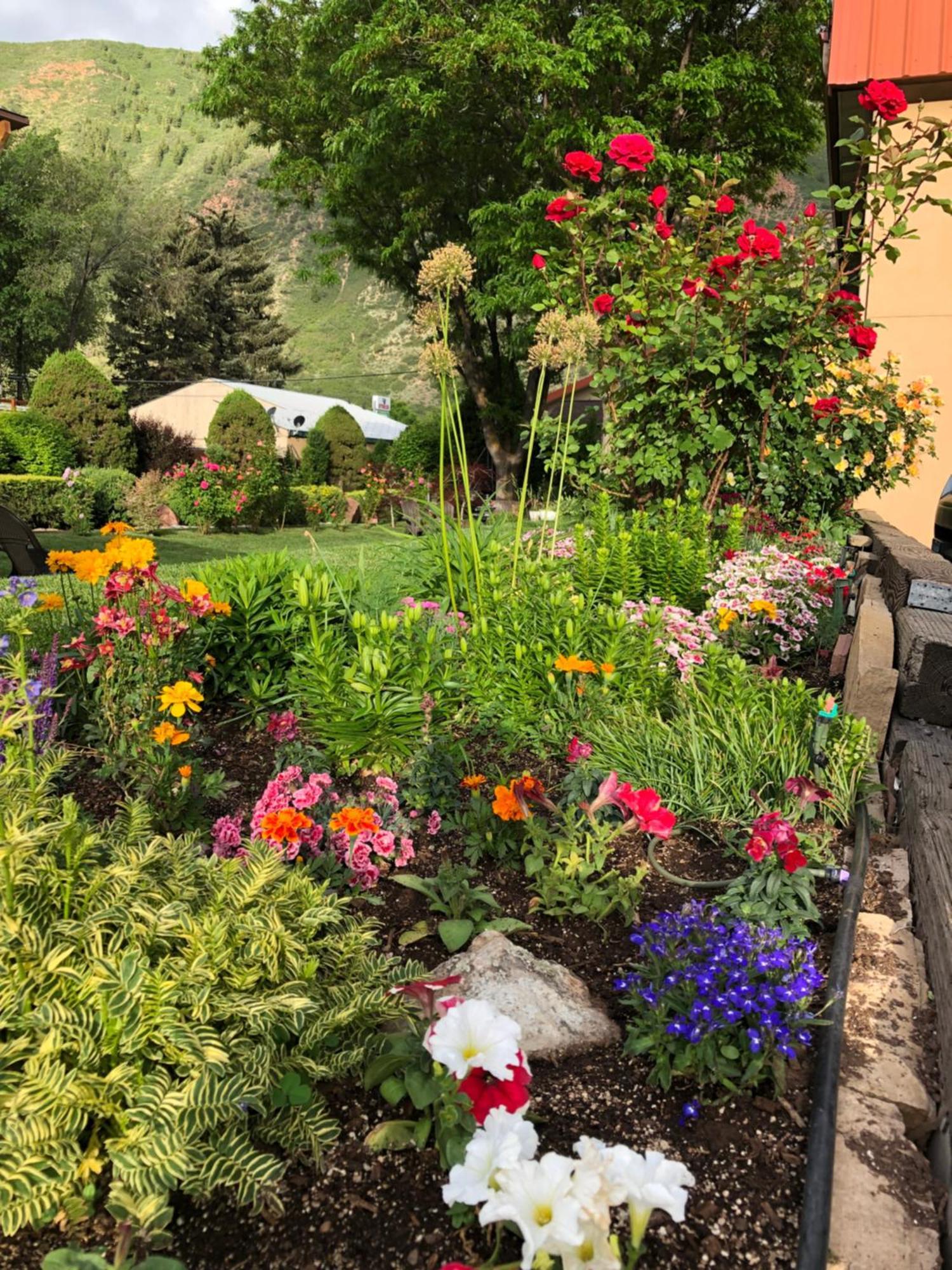 Glenwood Springs Cedar Lodge Εξωτερικό φωτογραφία